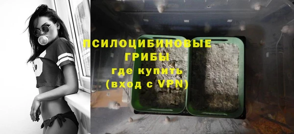 спайс Арсеньев