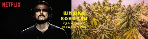дмт Аркадак